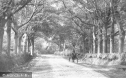 Elvetham Lane, A Horse Cart 1904, Fleet