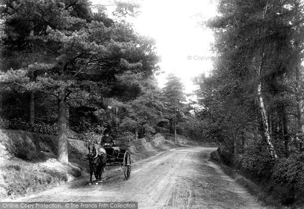 Photo of Fleet, Elvetham Road 1904