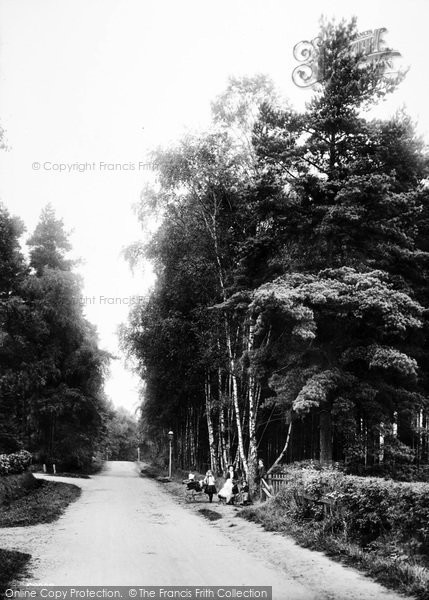 Photo of Fleet, Sunnyside 1910
