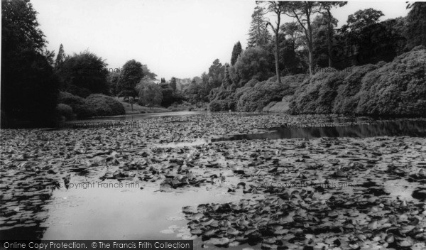 Photo of Fletching, Sheffield Park Lake c.1965
