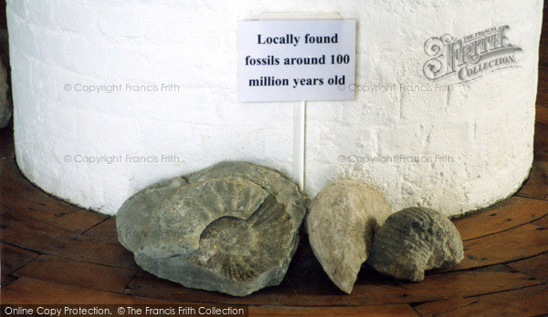 Photo of Folkestone, Locally Found Fossils 2004