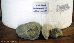 Locally Found Fossils 2004, Folkestone