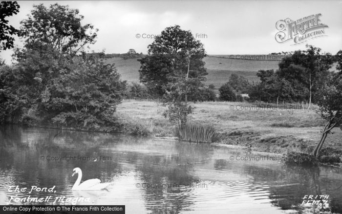 Photo of Fontmell Magna, The Pond c.1955