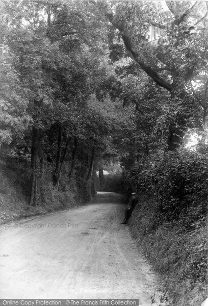 Photo of Foots Cray, Lane 1900