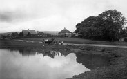 Village Pond 1924, Forest Green