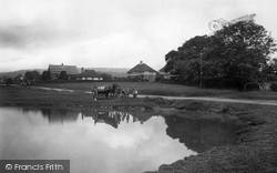 Village Pond 1924, Forest Green