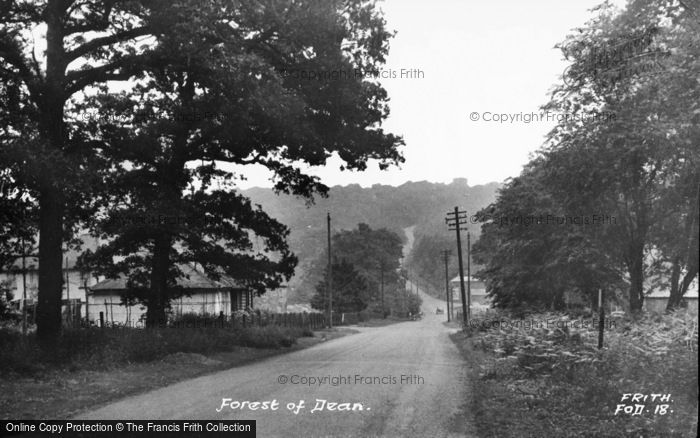 Photo of Forest Of Dean, c.1955