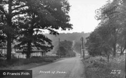 c.1955, Forest Of Dean