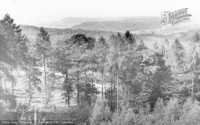 Photo of Forest Of Dean, c.1960
