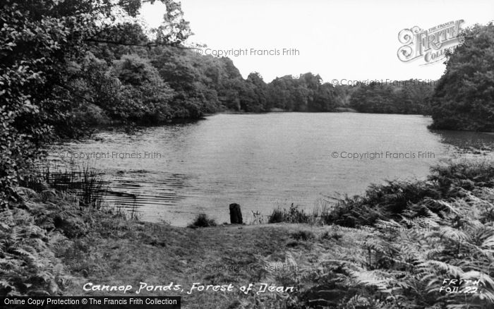 Photo of Forest Of Dean, Cannop Ponds c.1955