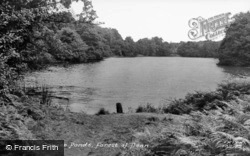 Cannop Ponds c.1955, Forest Of Dean