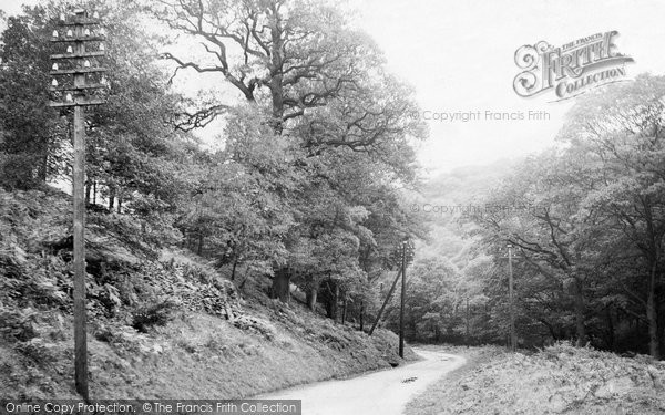 Photo of Forest Of Dean, Near Milkwall 1906