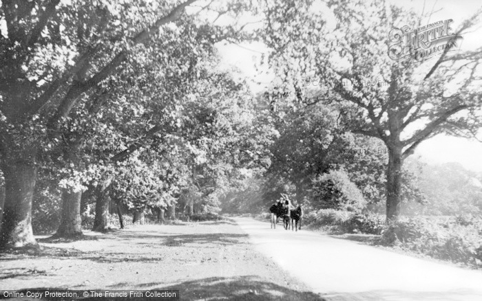 Photo of Forest Of Dean, Speech House Road c.1950