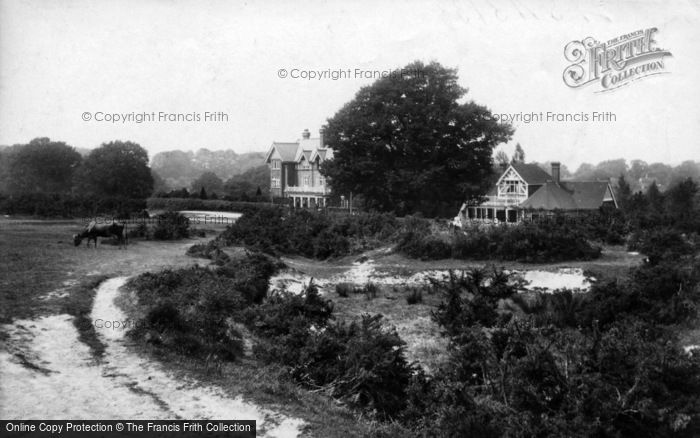 Photo of Forest Row, Ashdown Forest Hotel And Ladies Golf Club House 1909