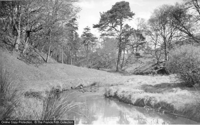 Photo of Forth, The Glen From The Cleuch Bridge c.1955