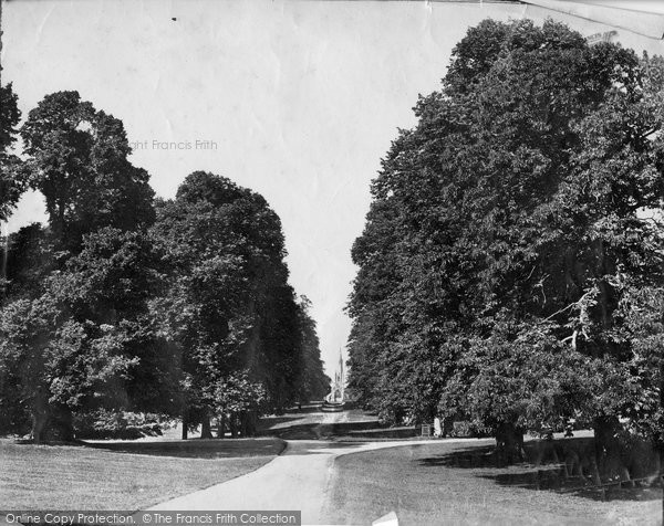 Photo of Fountains Abbey, Studley Park, Lime Tree Avenue And Church c.1874