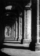 The Cloisters c.1955, Fountains Abbey