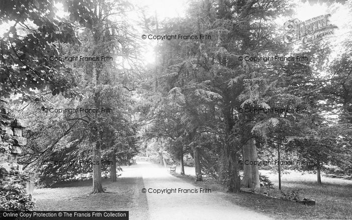 Photo of Fountains Abbey, Yew Walk 1914