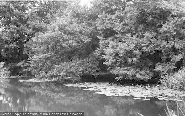Photo of Four Elms, The Pond c.1960