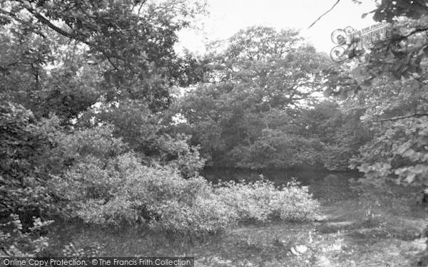 Photo of Four Elms, The Village Pond c.1955