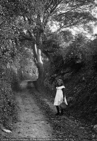 Photo of Fowey, A Country Lane 1908