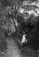 A Country Lane 1908, Fowey