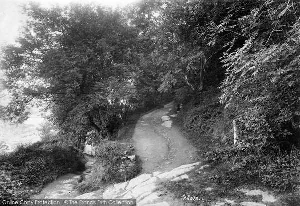 Photo of Fowey, The Castle Walk 1908
