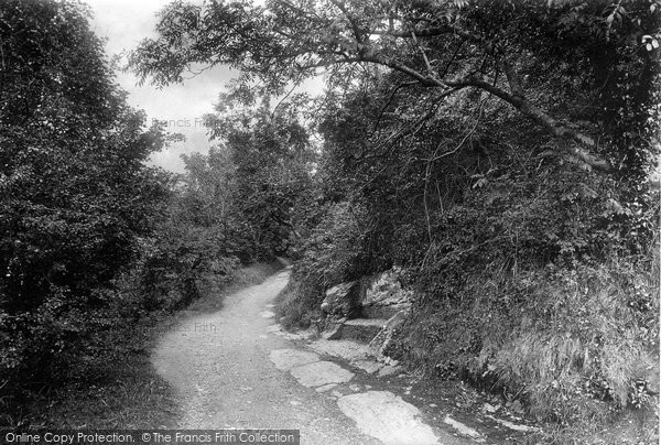 Photo of Fowey, The Lovers' Seat 1893