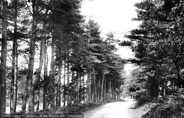Photo of Frensham, Common, Churt Road 1914