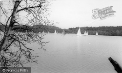 Pond c.1965, Frensham