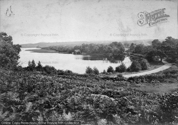 Photo of Frensham, The Pond 1909