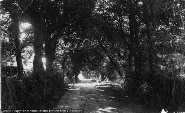 Photo of Freshwater Bay, Lane At Farringford c.1883