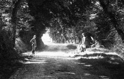 Lane At Farringford c.1883, Freshwater Bay