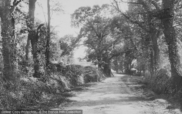 Photo of Freshwater Bay, Tennyson's Lane, Farringford 1897