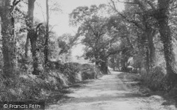 Tennyson's Lane, Farringford 1897, Freshwater Bay