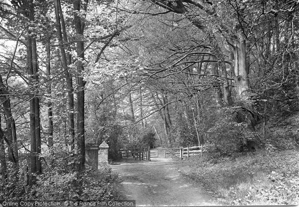Photo of Friday Street, The Woods Gate 1921