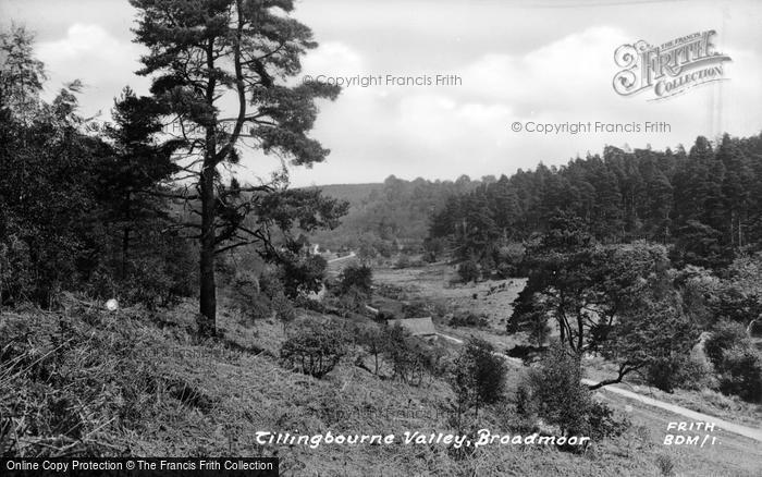 Photo of Friday Street, Tillingbourne Valley, Broadmoor c.1955