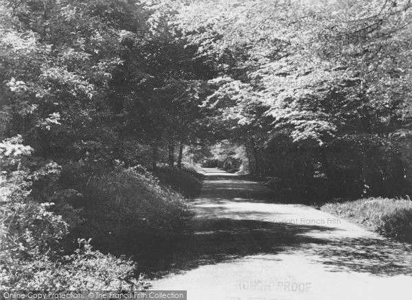 Photo of Frilsham, The Woods c.1960