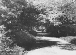 The Woods c.1960, Frilsham
