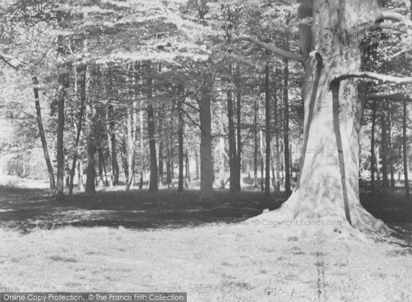 Photo of Frilsham, The Woods c.1960