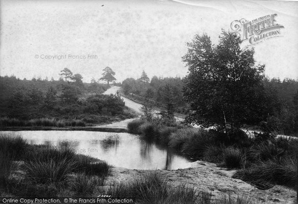 Photo of Frimley, Blackdown, Frith Hill 1908