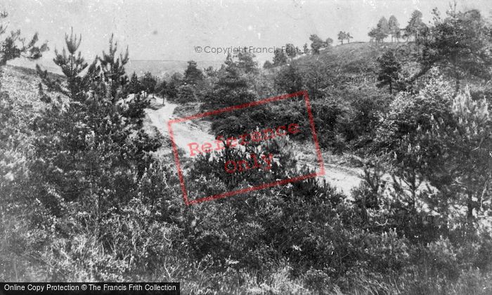 Photo of Frimley, Blackdown, View From Chobham Ridges 1908