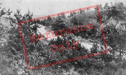 Blackdown, View From Chobham Ridges 1908, Frimley