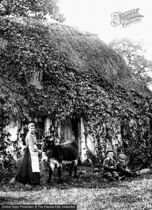 Photo of Frimley Green, Family Scene 1906