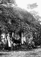 Family Scene 1906, Frimley Green