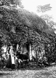 Family Scene 1906, Frimley Green