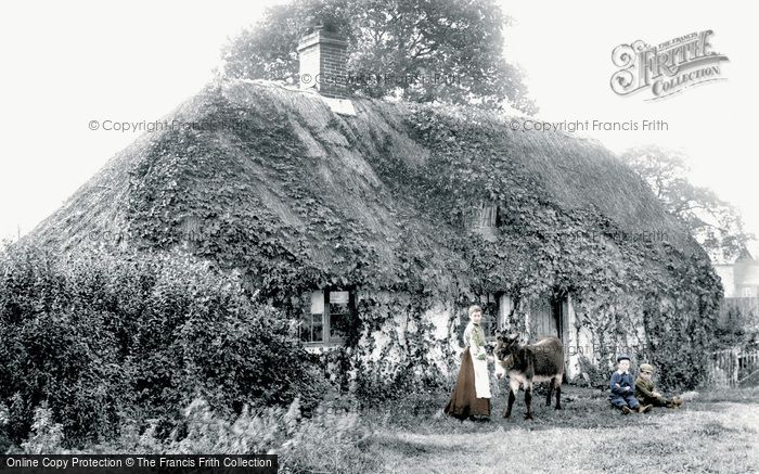 Photo of Frimley Green, Old Cottage 1906