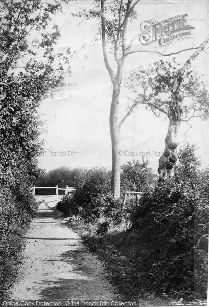 Photo of Frimley Green, The Hatches 1906