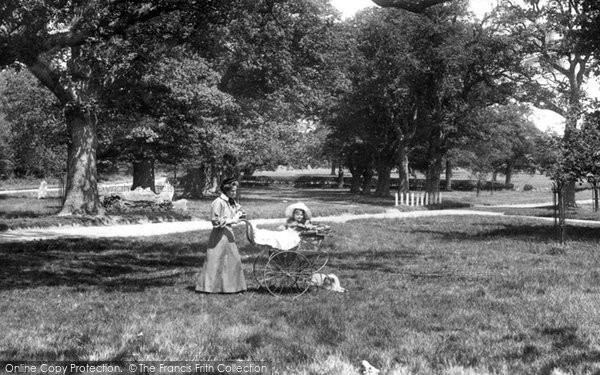 Photo of Frimley, Pram In The Grove 1906