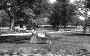 Pram In The Grove 1906, Frimley